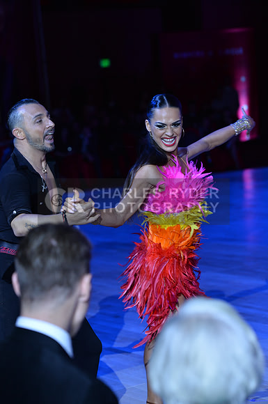 16HDC_24561_MM