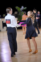26LDF_2931_RS