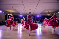 26LDF_8610_RS
