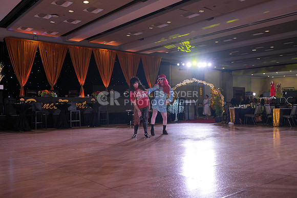 26PCD_3233_RS