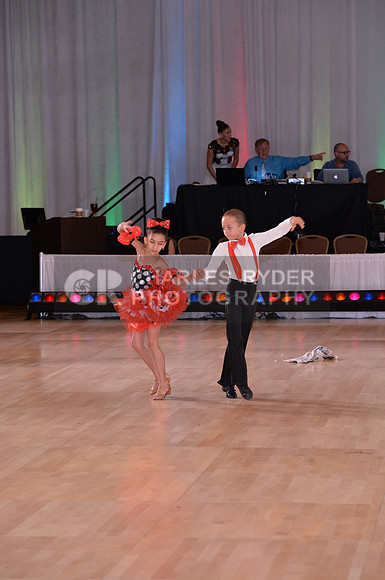 16DCD_13806_MM