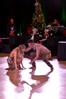 18HDC_36325_MM