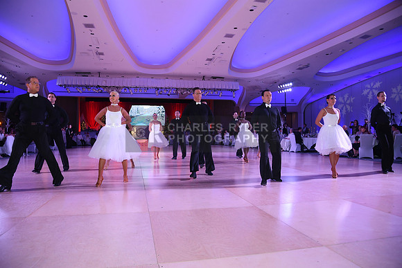 21HB_8539_CR