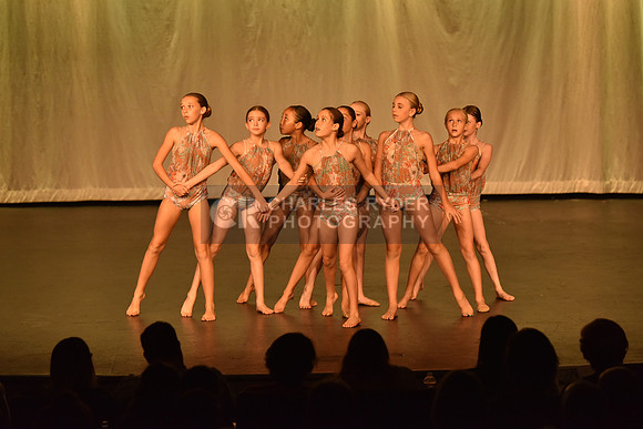 16ANDT_2393_MM
