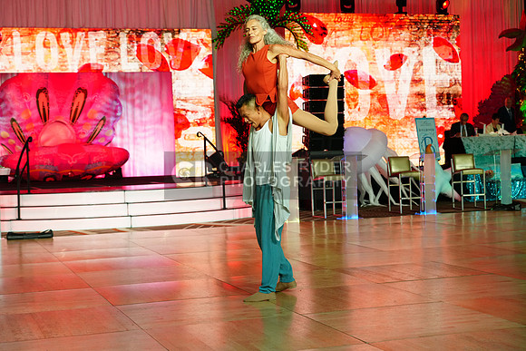 25MDC15985_CR