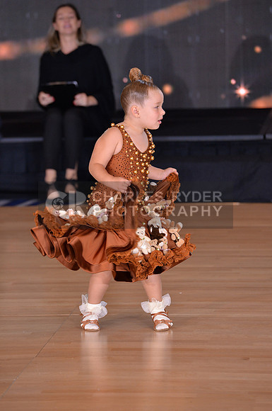 17EDS_10353_MM