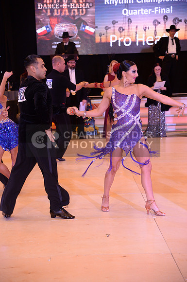 19TDR_13646_MM