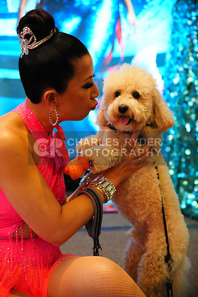 25MDC5883_KS
